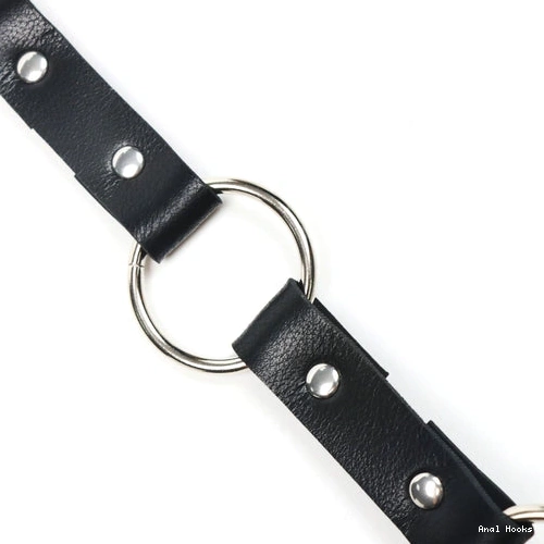 Anal Hooks Leash Collar with Kinky and Anal Hook EverydayUse 5853 0812